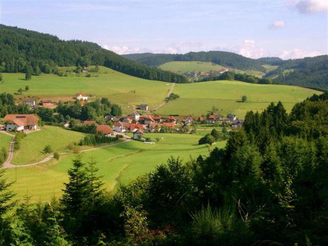 Hirschen-Dorfmuehle Hotell Biederbach Baden-Württemberg Eksteriør bilde